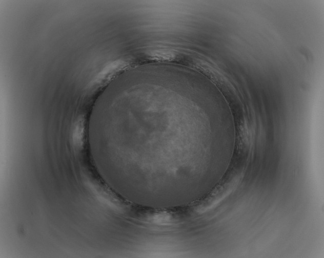 X0000114110600200910191704