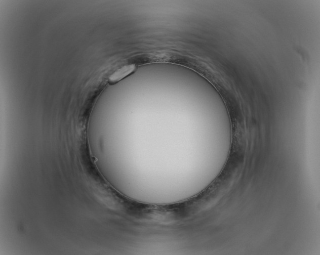 X0000114110601200910191704