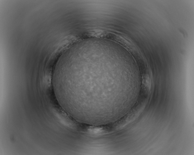 X0000114110602200910191704