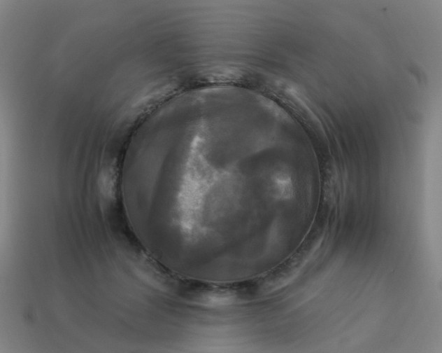 X0000114110604200910191704