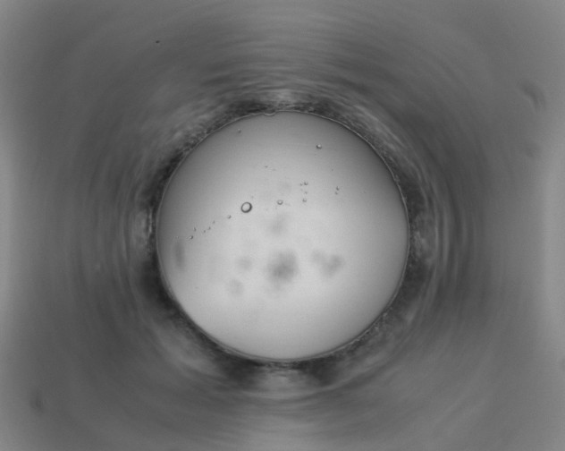 X0000114110605200910191704