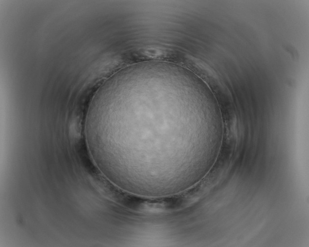 X0000114110606200910191704