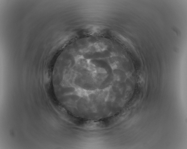 X0000114110607200910191704