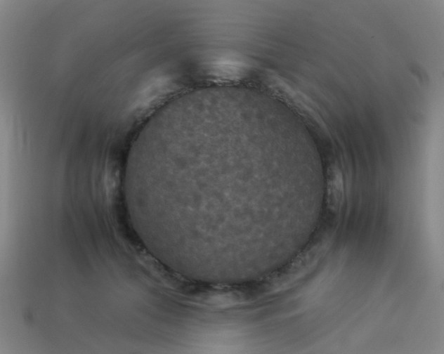 X0000114110608200910191704