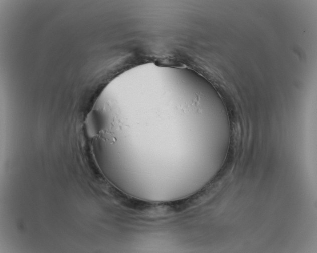 X0000114110609200910191704