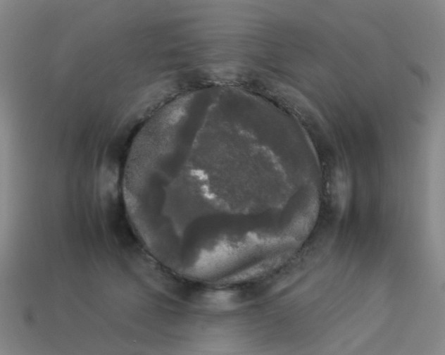 X0000114110610200910191704