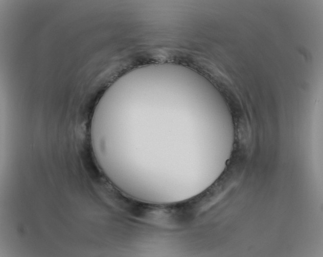 X0000114110611200910191704