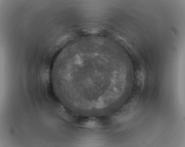 X0000114110612200910191704