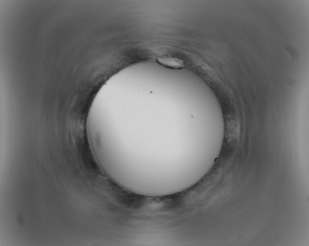 X0000114110613200910191704