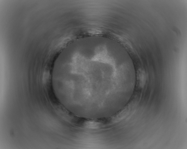 X0000114110614200910191704