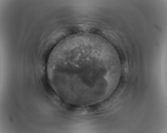 X0000114110615200910191704