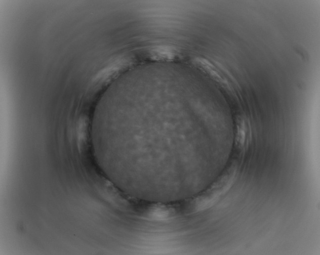 X0000114110616200910191704