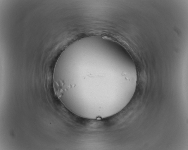 X0000114110617200910191704