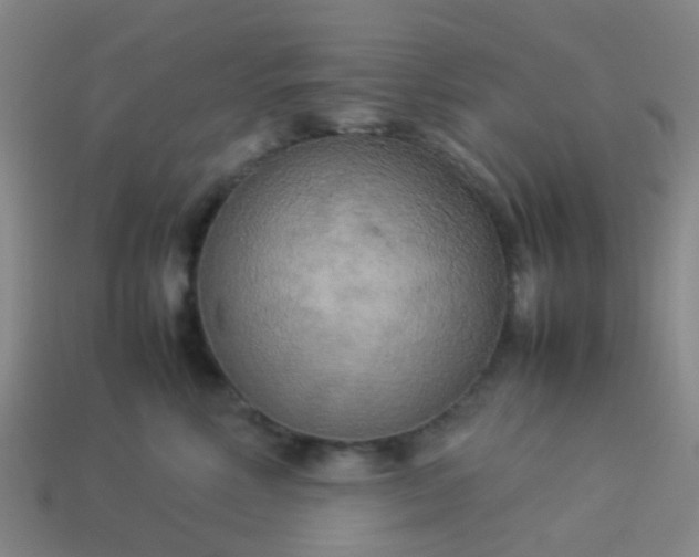 X0000114110618200910191704