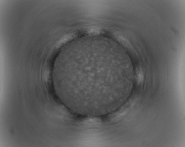 X0000114110619200910191704