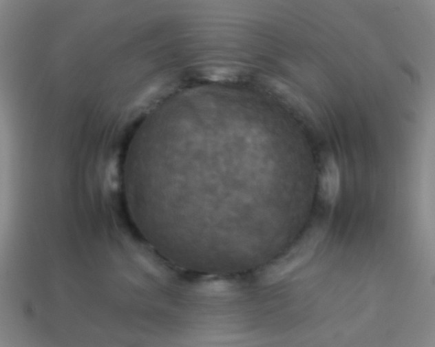 X0000114110620200910191704