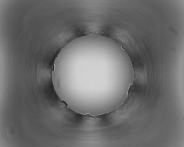 X0000114110621200910191704