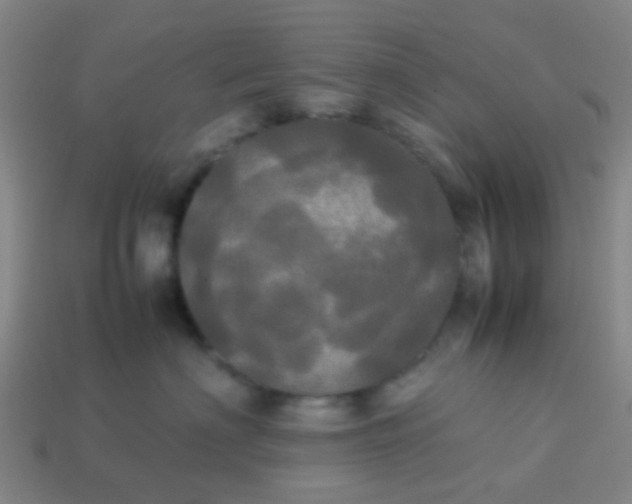 X0000114110622200910191704