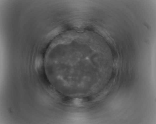 X0000114110623200910191704