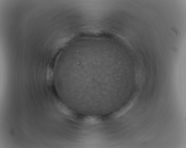 X0000114110624200910191704