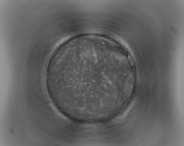 X0000114110625200910191703