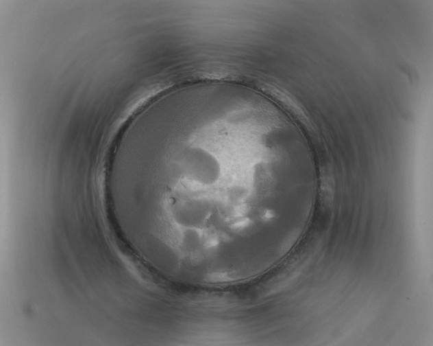 X0000114110626200910191703