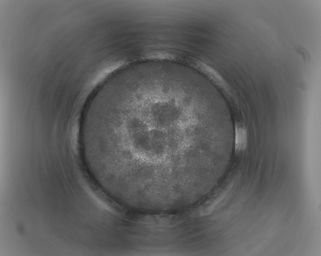 X0000114110627200910191703