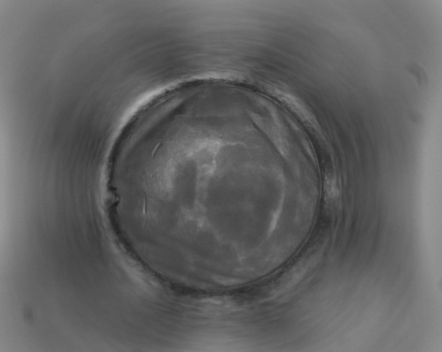 X0000114110628200910191703