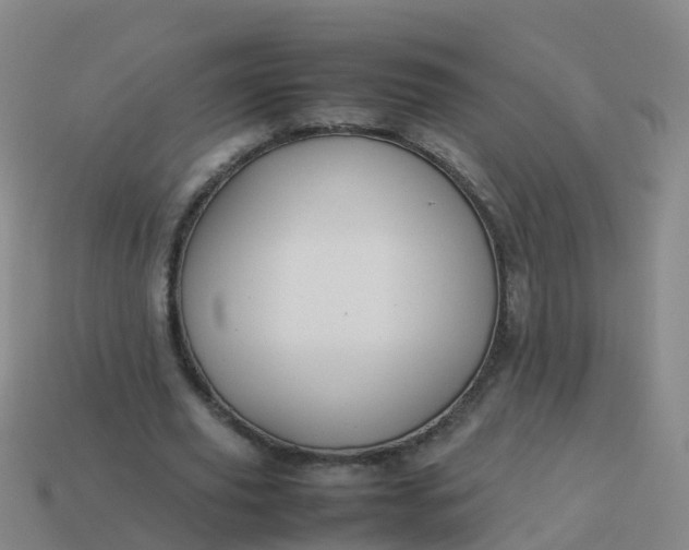 X0000114110629200910191703