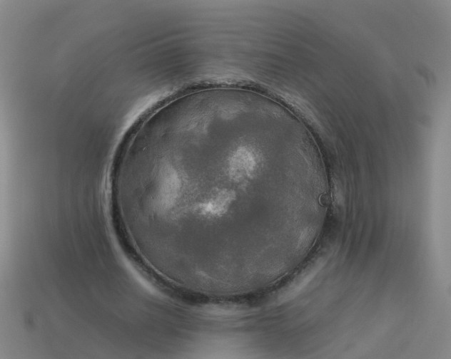 X0000114110630200910191703