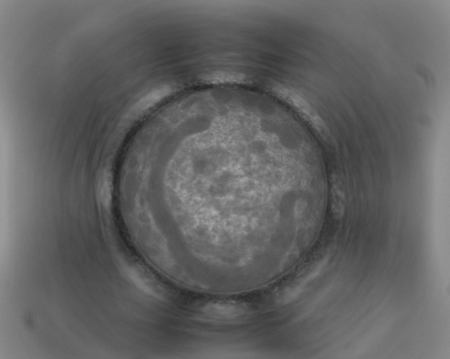 X0000114110631200910191703