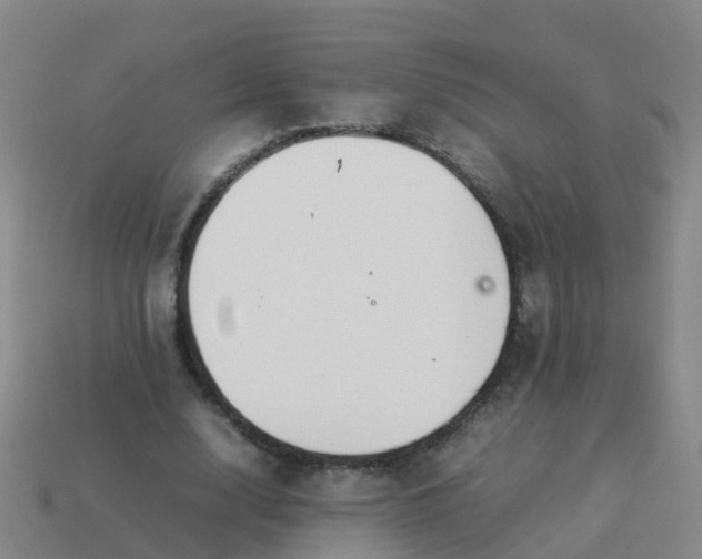 X0000114110632200910191703