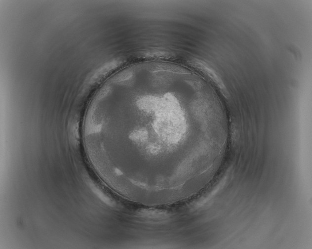 X0000114110633200910191703