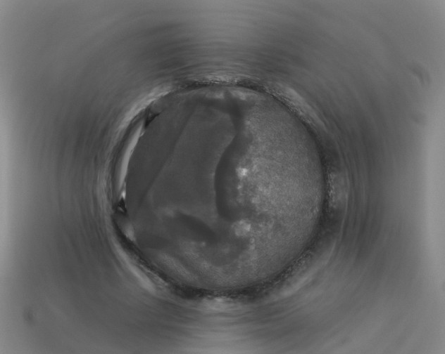 X0000114110634200910191703