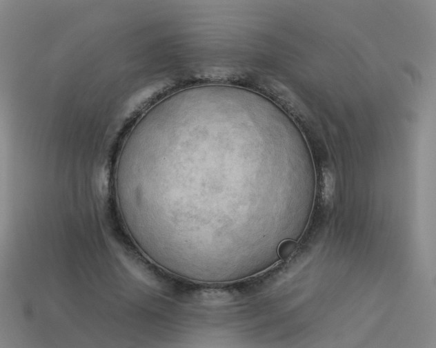 X0000114110636200910191703