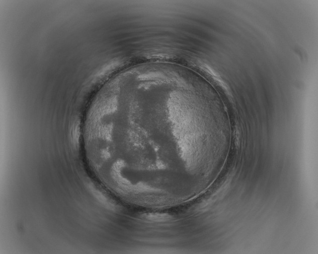 X0000114110637200910191703