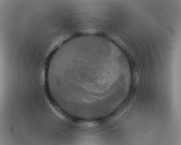 X0000114110638200910191703