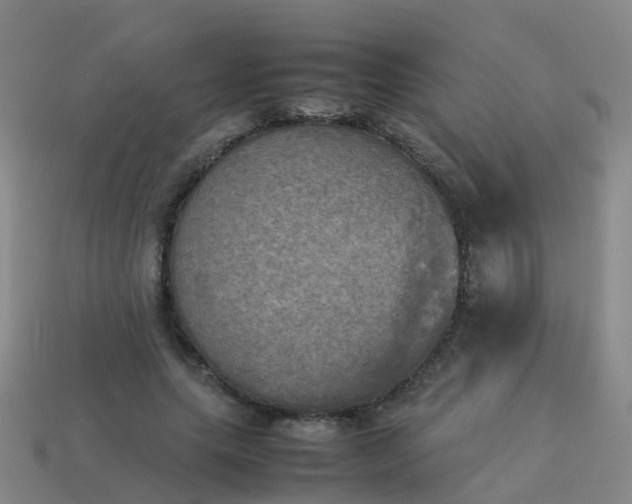 X0000114110639200910191703