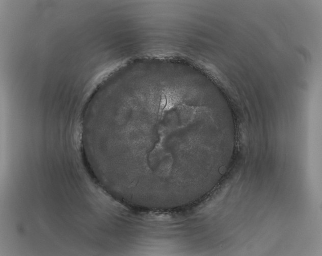 X0000114110640200910191703