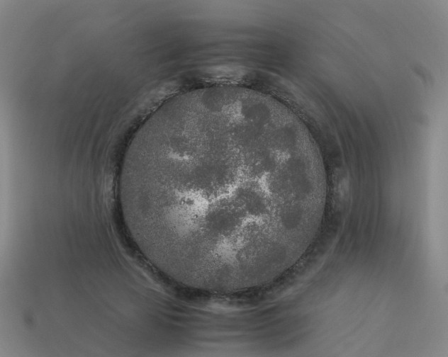 X0000114110641200910191703