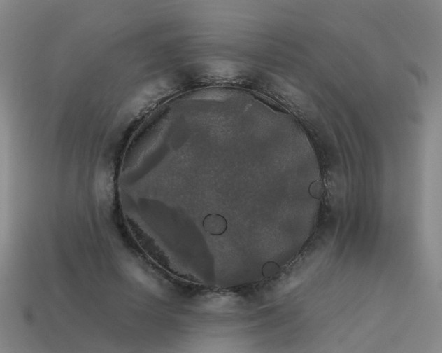 X0000114110642200910191703