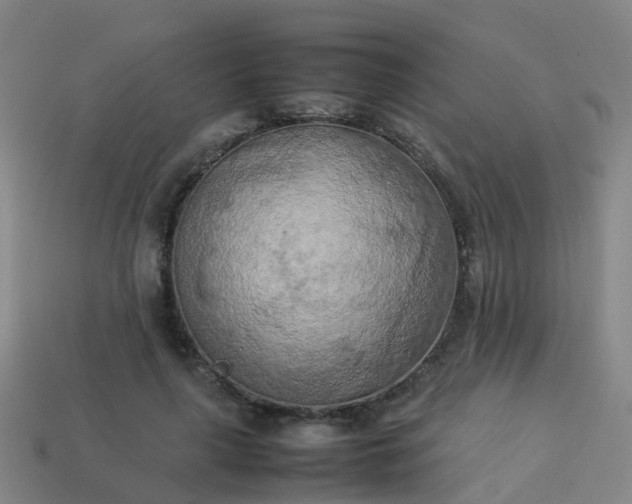 X0000114110643200910191703