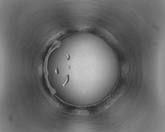 X0000114110644200910191703