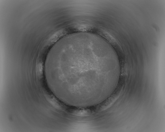 X0000114110646200910191703