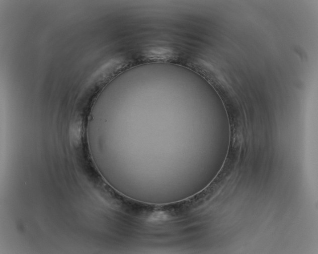 X0000114110647200910191703