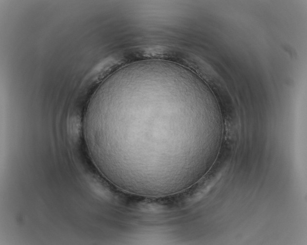 X0000114110648200910191703