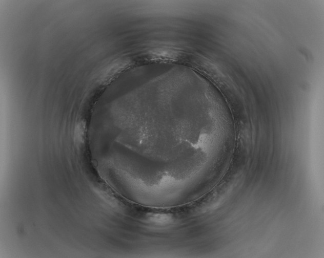 X0000114110649200910191703