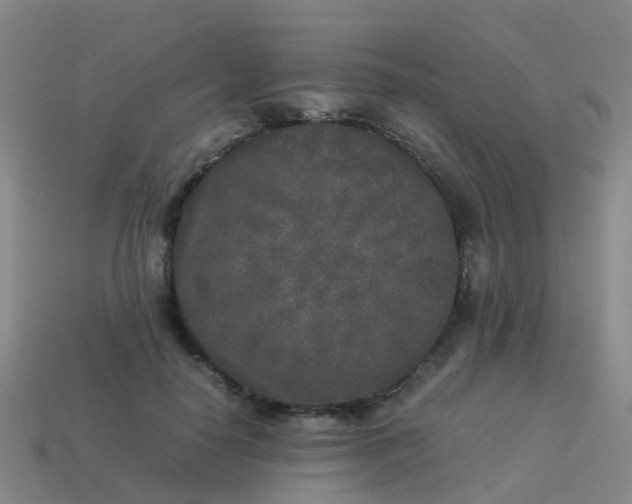 X0000114110650200910191703