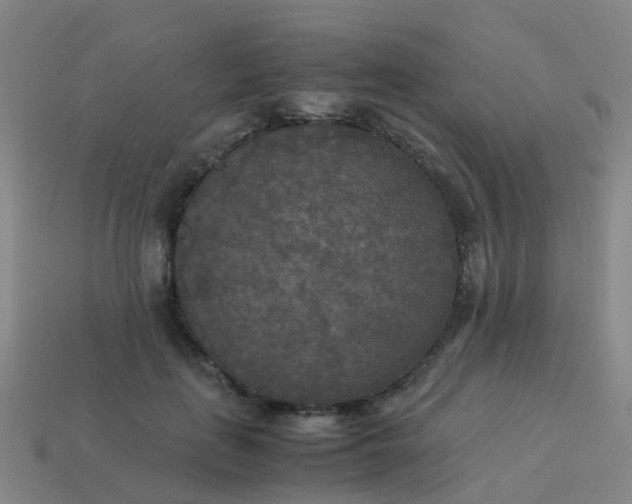 X0000114110651200910191703