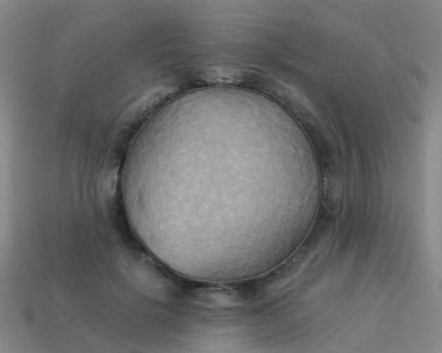 X0000114110652200910191703